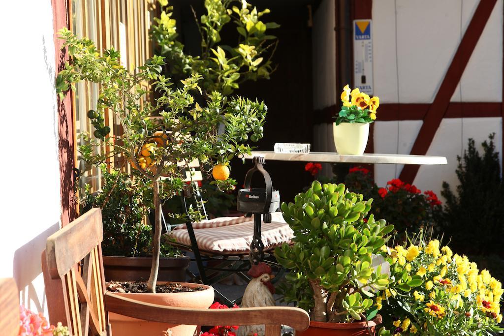 Gaestehaus Pfefferle Hotel Garni Und Ferienwohnungen Sigmaringen Exteriör bild